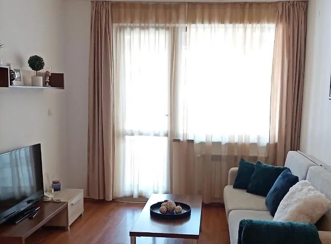 Belvedere Club 101 * バンスコ